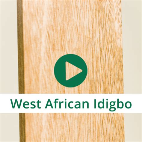West African Idigbo Timber Fast Delivery Timbersource