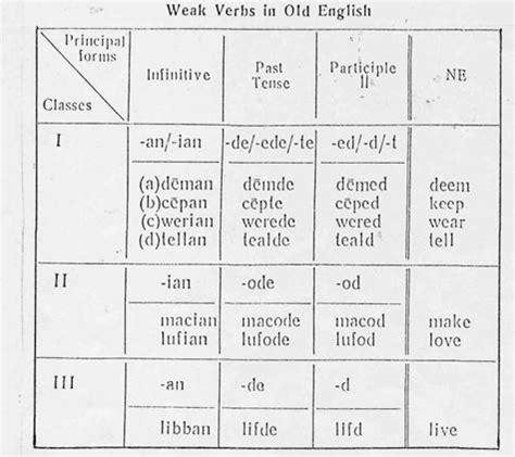 The Development of Weak verbs