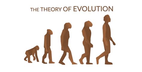 Theory Of Evolution Charles Darwin And Natural Selection Earth How