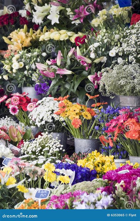 Fresh Flowers At An Outdoor Farmers Market Stock Image Image Of