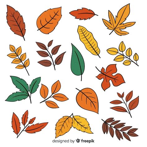 Free Vector Hand Drawn Autumn Leaves Collection
