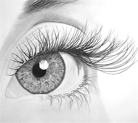 Big Eye!! (2016) Pencil drawing by Paul Stowe | Artfinder