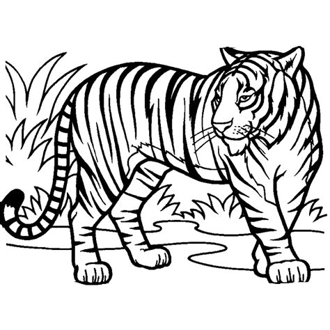 Desenho De Tigre Bonito Para Colorir Tudodesenhos