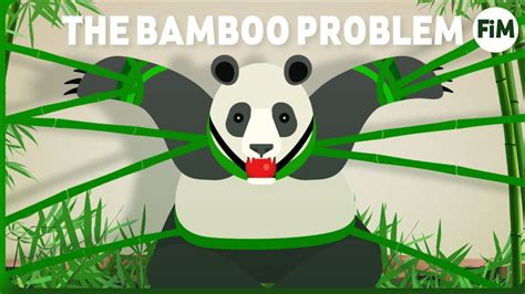How Bamboo Slowly Kills The Panda The Bamboo Problem Youtube