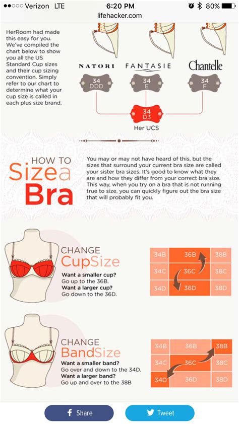 Bra sizing sister size tips chart brands thirdlove. Bra Size (With images) | Bra sizes, Chart, Natori