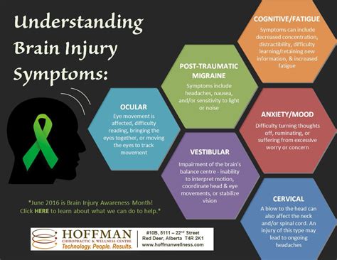 Brain Injury Know The Signs Hoffman Chiropractic And Wellness