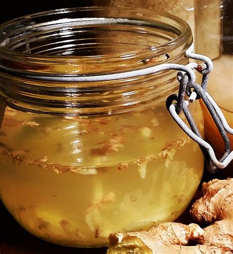 Ginger Bug Ginger Bug Fermentation Recipes Herbal Recipes