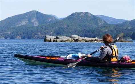 Single Day Kayaking And Whale Watching