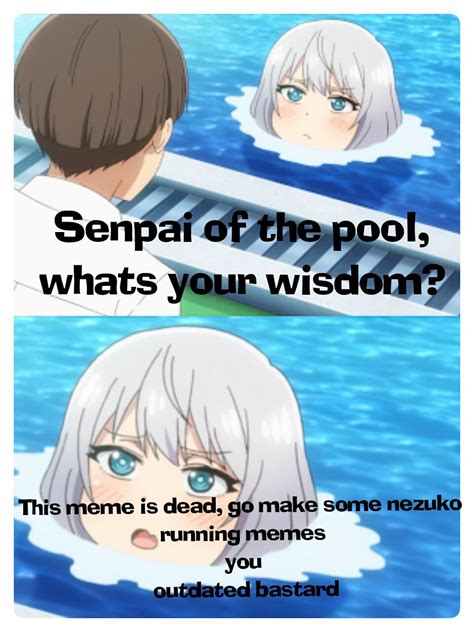 In khaby lame meme application all the entertainment enjoyment is presented in an easy and simple way to use le iene khaby lame, as it is presented offline free de khaby lame. Senpai Of The Pool - Meme Pict
