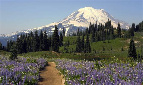Breaking news and analysis on politics, business, world national news, entertainment more. Visit Washington State on Holiday | AmericanAffair.com