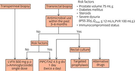 Prevention Of Infectious Complications After Prostate Biopsy Procedure