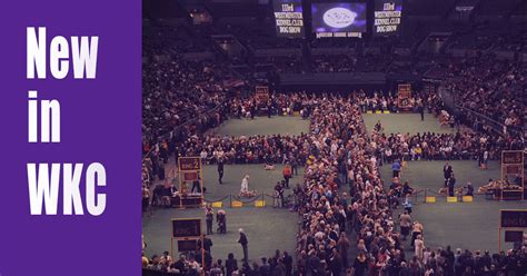 The 2021 westminster dog show will be broadcast nationally on fox, fox sports 1 and fox sports 2. Crufts Dog Show 2021 TV Schedule and Tickets Info