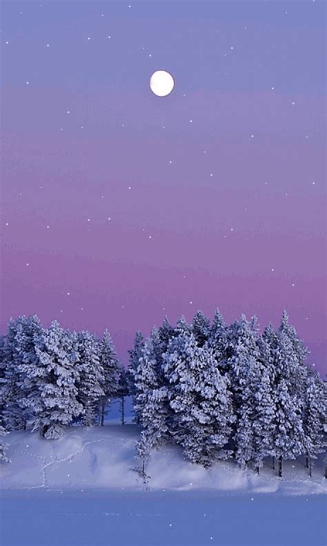 Download Animated 480x800 Winter Night Cell Phone