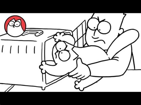 Getting a cat into a pet carrier can be tricky, but the best way is to handle the cat from the scruff of the neck. Box Clever - Simon's Cat | SHORTS #47 - YouTube