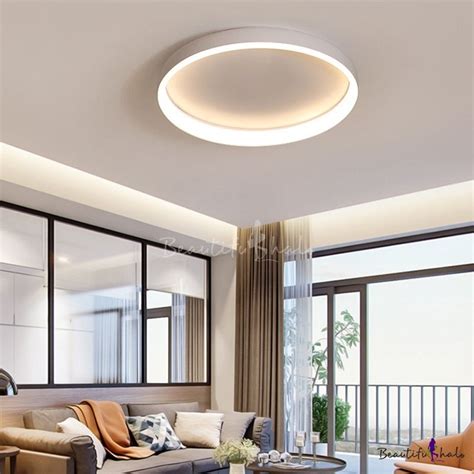 Ceiling Mounted Luminaire