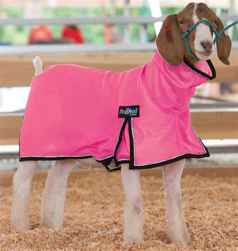 Goat Blankets, Graphic Prints - US Whip