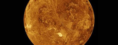 Das mädchen hat eine blase von einer lustigen form geschaffen. Zurück zur Venus | Die Zukunft