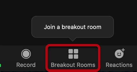Zoom Participant Controls – CTE Resources