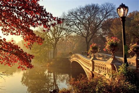 Autumn Wallpaper Bridge