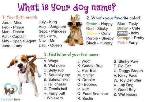 Community Post What Is Your Dog Name Dog Names Your Dog Funny Dog Names