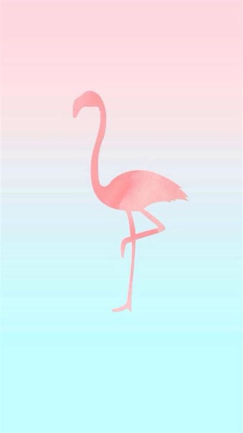 Download Flamingo Flamingos Iphone Wallpaper Desktop Free Hq Image Hq