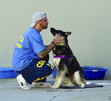 Inmates At Salinas Valley State Prison Clean Up Their Act To Train Spca