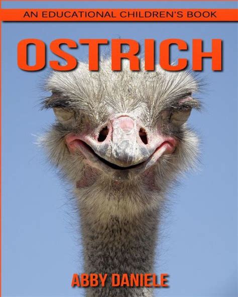Ostrich An Educational Childrens Book About Ostrich With Fun Facts