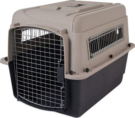 Best 10 Airline Approved Pet Carriers And Crates For 2022 Animalso