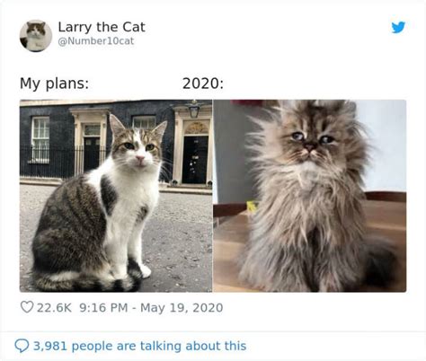 Save when using bing.com promo codes while supplies last. Memes Can't Describe Our Plans Vs. 2020 (30 pics) - Izismile.com