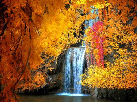 Autumn Waterfall Fall Seasonal Water Colors Creek Trees Hd