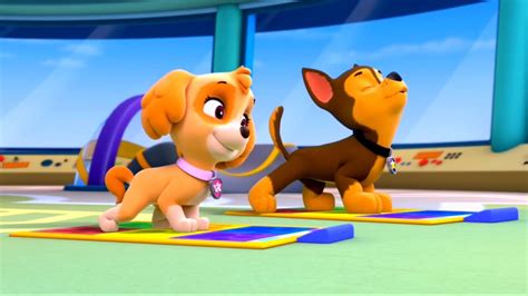 Pup Pup Boogie Paw Patrol Music Videos Youtube