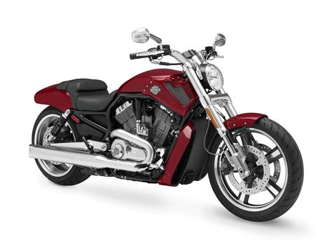 Harley Davidson Vrscf V Rod Muscle