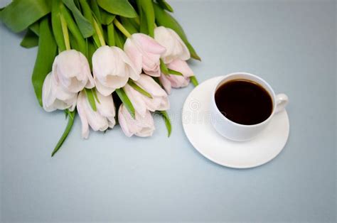 Flowers Tulips With White Coffee Cup On Blue Background Stock Photo