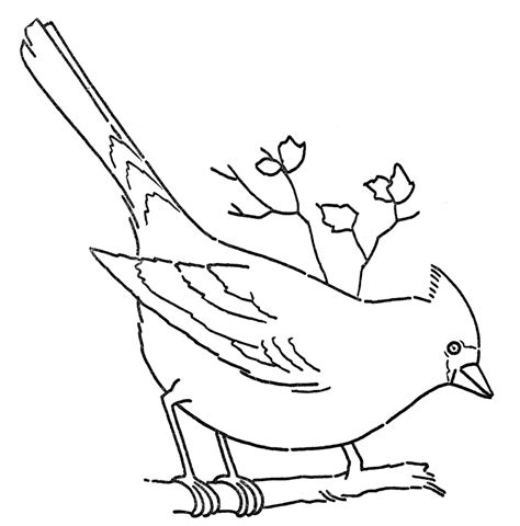 Simple Bird Line Drawing At Getdrawings Free Download