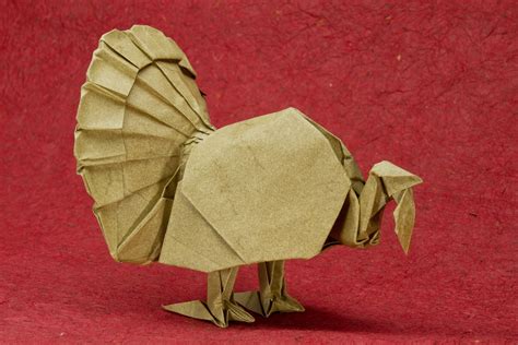 Origami Turkey Arts And Crafts Ideas Projects