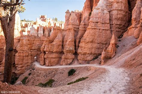 Bryce Canyon National Park Travel Guide Earth Trekkers