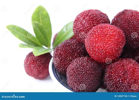 Fresh Waxberry Royalty Free Stock Image Image 14587736