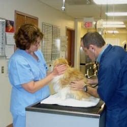 All creatures hospital proudly serves as an animal hospital for the areas of del mar, carmel valley, solana beach, encinitas, rancho santa fe and the surrounding communities. VCA All Creatures Animal Hospital - 12 Reviews ...