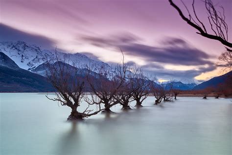 The Glenorchy Willow Trees Back Again For Winter