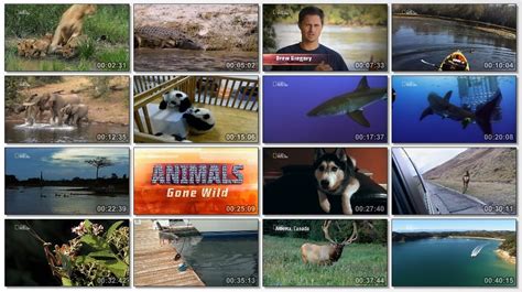 Top 124 Animals Gone Wild Tv Show