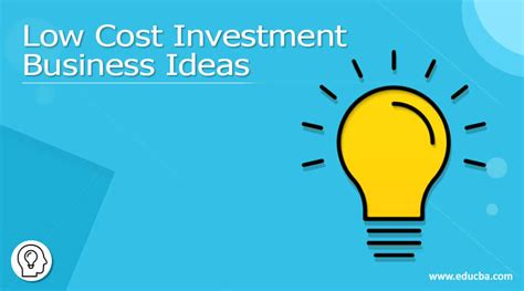 Low Cost Investment Business Ideas Find Out The Top Businesses