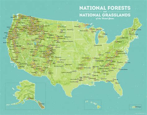 Us National Forests Map 11x14 Print
