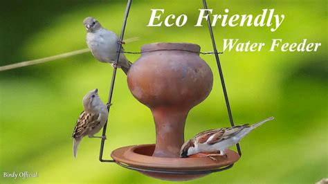 How To Make Birds Water Feeder Using Terracotta Pots At Home Youtube