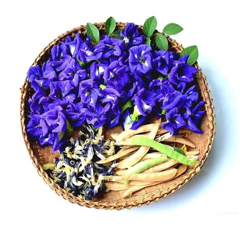 Maybe you would like to learn more about one of these? Butterfly Pea Flowers Dried (Bulk) - Wild Hibiscus Flower ...