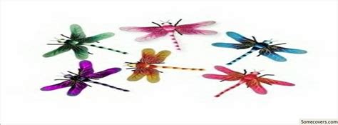 Dragonfly Dance Insects Layout Facebook Timeline Cover Facebook Covers