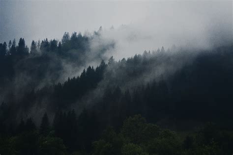 Download Wallpaper X Fog Trees Hills Mist Lan Vrogue Co