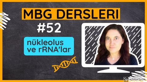 Orta doğu teknik üniversitesi (ankara). Moleküler Biyoloji ve Genetik Dersleri #52: Nukleolus ve ...
