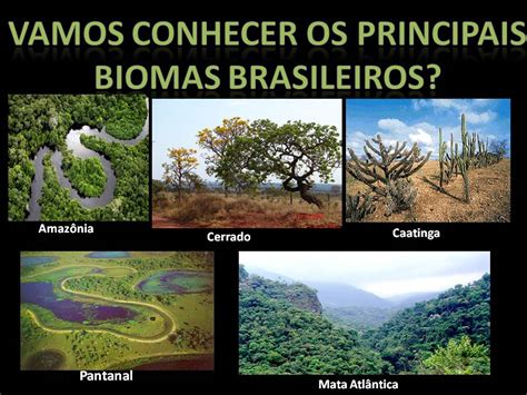 Ced Ambiental Biomas Brasileiros