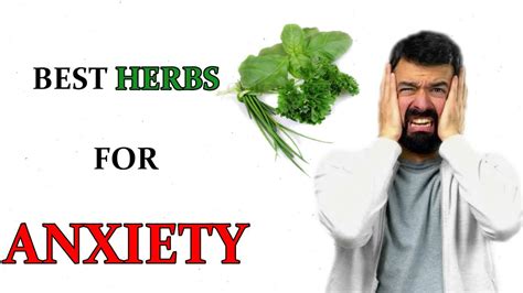 How Your Body Will React If You Use Herbs For Anxiety The Best Herbs