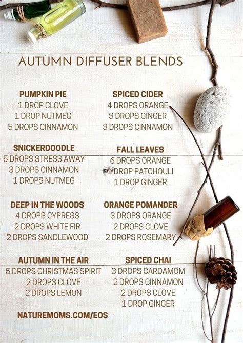Fabulous Fall Essential Oils Blends And How To Use Them Artofit